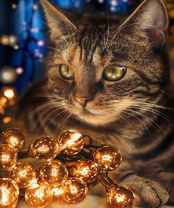 Без бренда «2KXSB-0678» в Ульяновске