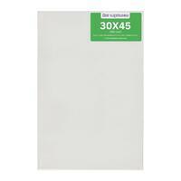 Без бренда «Коробка 40 шт.: Холст Две картинки на подрамнике 30X45» в Ульяновске в интернет-магазине Без бренда «Коробка 40 шт.: Холст Две картинки на подрамнике 30X45» в Ульяновске