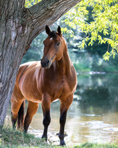 Без бренда «BOX20-2KMB-4594» в Ульяновске