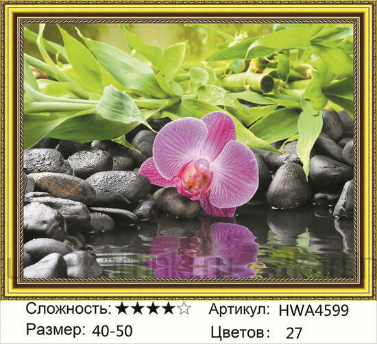 Алмазная мозаика 40x50 Орхидея у воды и черные камни