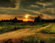 Без бренда «Проселочная дорога на закате» в Ульяновске