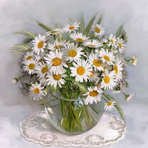 Без бренда «Букет свежих ромашек» в Ульяновске