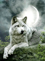 Без бренда «Коробка 25 шт. картин по номерам BOX25-GX21058» в Ульяновске