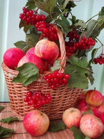 Без бренда «Коробка 25 шт. картин по номерам BOX25-GX5174» в Ульяновске