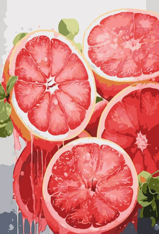 Картина по номерам 40x60 Натюрморт с грейпфрутами