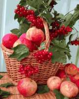 Без бренда «Плетёная корзина с калиной и яблоками» в Ульяновске