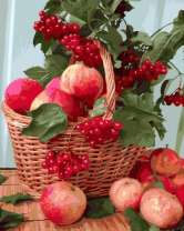 Без бренда «Плетёная корзина с калиной и яблоками» в Ульяновске в интернет-магазине  Без бренда «Плетёная корзина с калиной и яблоками» в Ульяновске