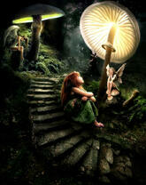 Девочки и ночные феи