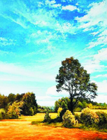 Без бренда «Осенний пейзаж с голубым небом» в Ульяновске в интернет-магазине  Без бренда «Осенний пейзаж с голубым небом» в Ульяновске