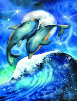 Два дельфина над волной