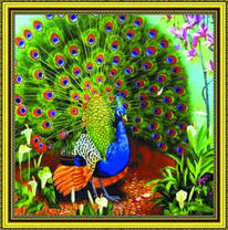 Большой павлиний хвост