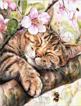 Без бренда «Волосатый котик спит на ветви яблони» в Ульяновске в интернет-магазине  Без бренда «Волосатый котик спит на ветви яблони» в Ульяновске