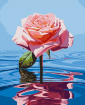 Розовая роза в прозрачной воде