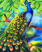 Павлин на ветке